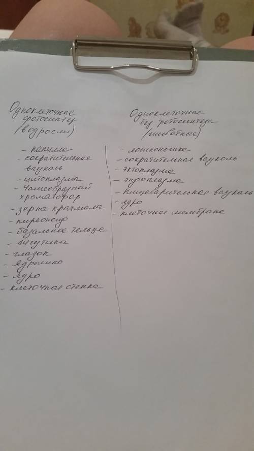 Сравните особенности строения и процессов жизнедеятельности одноклеточных с фотосинтезом и без фотос