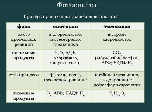 Что такое фотосинтез? 2. почему фотосинтез происходит в зеленых листьях растения? 3. как растения пр