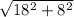 \sqrt{ 18^{2}+ 8^{2} }