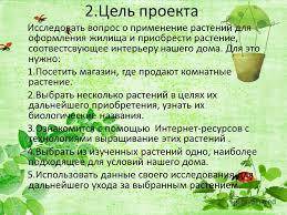 Творческий проект растение в интерьере жилого дома)) придумайте