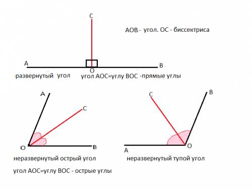 Какой по виду угол составляет со сторонами угла его биссектриса, если данный угол а)развернутый б)не