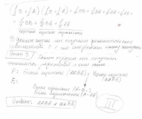 Усвиней біла щетина і коротконогість – домінантні ознаки, а чорна щетина і ноги нормальної довжини –