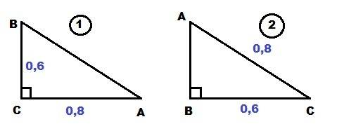 Нужно. в прямоугольном треугольнике авс, ас=0,8,вс=0,6. найдите длину вектора ва