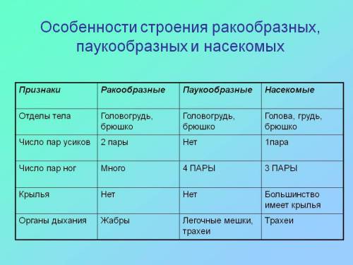 Сравнить особенности внешнего строение ракообразных и паукообразных