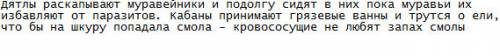 Как защищают себя от паразитов дикие животные?