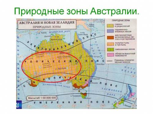 Какие природные зоны занимают значительную часть австралийского материка?