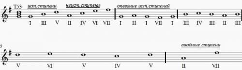 Соль мажор тоническое трезвучие устойчивые ступени неустойчивые ступени вводные ступени опевание уст