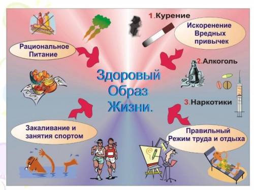 Скиньте фотки на плокат в здоровом теле здоровый дух завтра сдаём