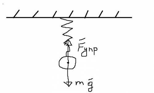 Назовите силы действующие на шарик подвешенный к концу стальной пружины сделайте рисунок изобразите