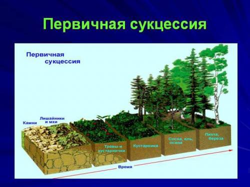 Народ, кто в биологии сечет? зачет, горю. кому не влом дайте ответы на следующие вопросы. 1) что наз