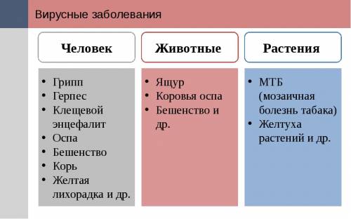 Вирусные заболевания человека -таблица