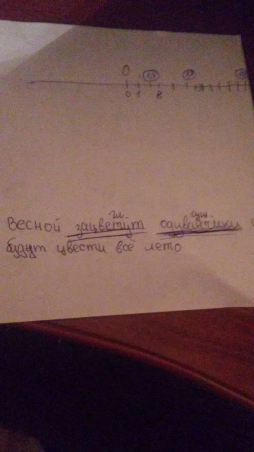Запиши предложение,поставив глаголы в нужную форму будущего времени.подчеркни основу предложения. ве