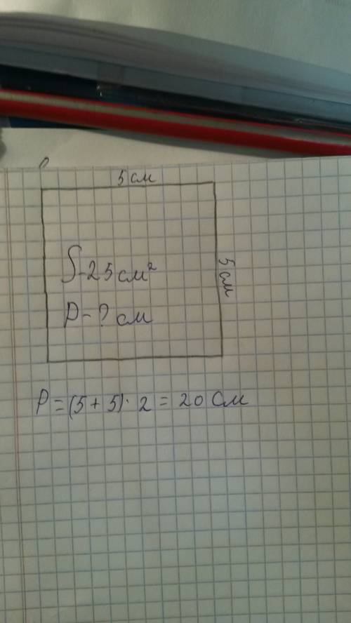 Площадь квадрата равен 25см начерти этот квадрат и найди периметр