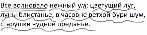 Сделайте синтаксический разбор предложения расставьте знаки препинания все волновало нежный ум цвету