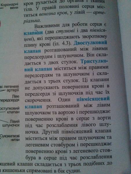 Напишите небольшой и понятный доклад о сердце(его строении)