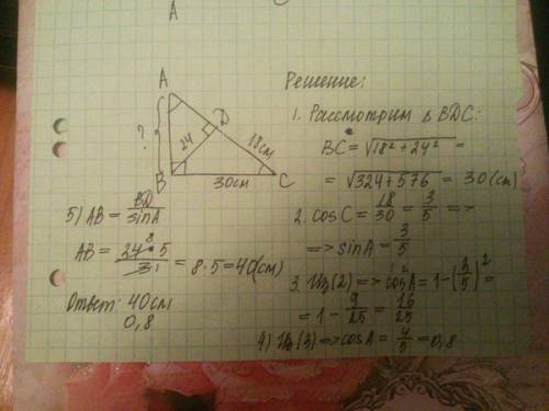Высота bd прямоуг.треуг. abc равна 24 см и отсекает от гипотенузы ac отрезок dc равный 18 см.найдите