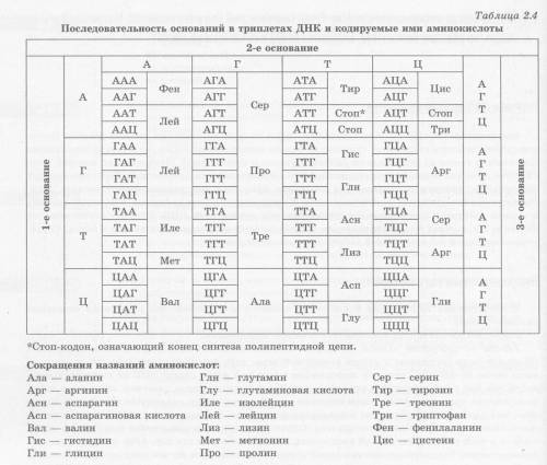 Цепочка аминокислот белка рибонуклеады имеет следующее начало: лизин-глутамин-треонин-аланин-аланин-