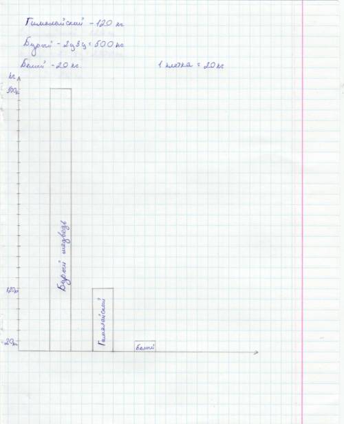 На диаграмме показана масса гималайского медведя в таблице данные о массе трёх видов медведей. какую