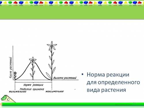 Что такое норма реакции? от чего зависит ее