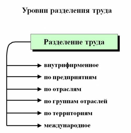 Какие есть сферы производства и разделы труда?