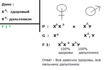 Мать дальтоник, а отец-здоров. каковы их генотипы? каковы генотипы и фенотипы детей? ген дальтонизма