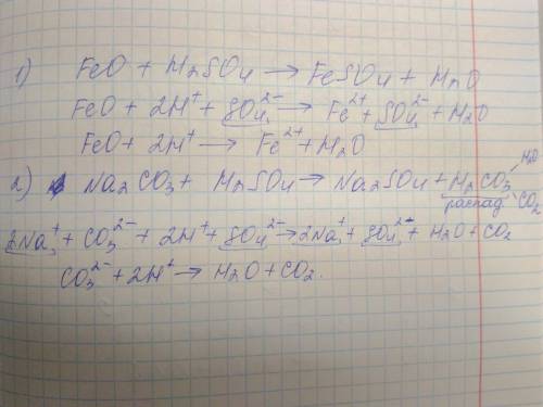 Ионные уровнения реакций. написать полное и сокращенное. 1) feo+h2so4 2) no2co3+h2so4