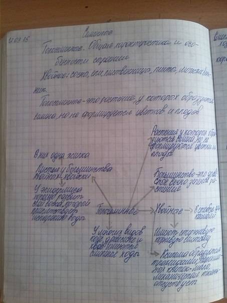 Напишите краткий конспект по голосеменным их особенности. жизненный цикл