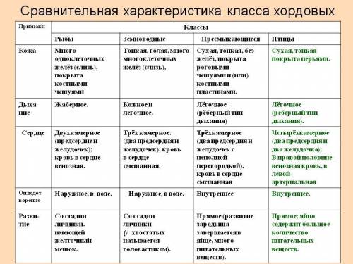 Заполни таблицу общая характеристика хордовых животных