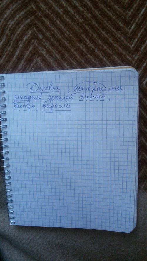 Деревья, которые мы посадили весной, быстро выросли. разберите это предложение, как сложное, а особе