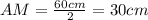 AM = \frac{60 cm}{2} = 30 cm