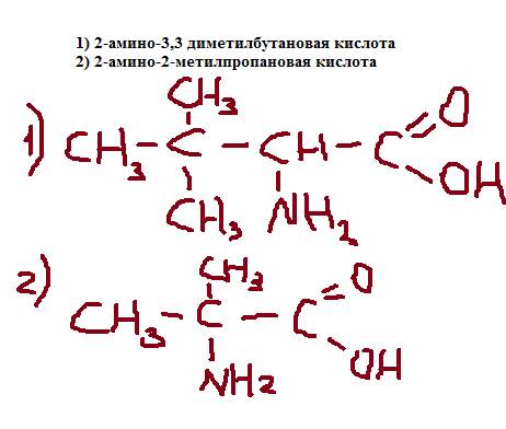 Напишите структурные формулы следующих аминокислот: 1) 2-амино-3,3 диметилбутановая кислота 2) 2-ами