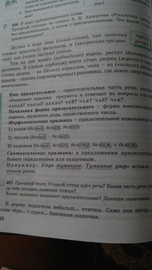 Допиши правило.имена прилагательные изменяются по падежам, имена существительные