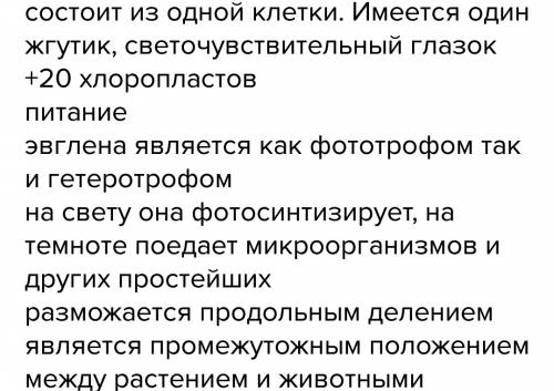 Одноклеточные и колониальные жгутиконосцы особенно особенности строения и жизнедеятельности эвглены