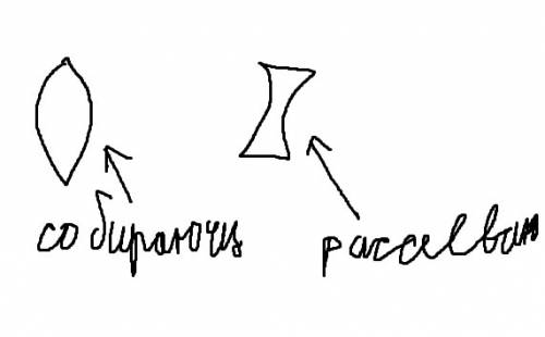 Как отличить собирающую линзу от рассеивающей по внешнему виду ?