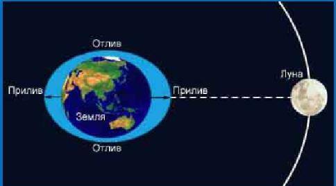 Почему образуются приливы и отливы?