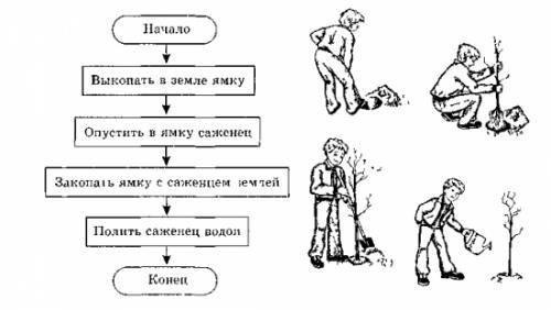 Понятие алгоритма записи алгоритмов: словесное описание, блок-схема, программа. типы алгоритмов. при