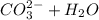 CO_{3}^{2-} +H_{2}O