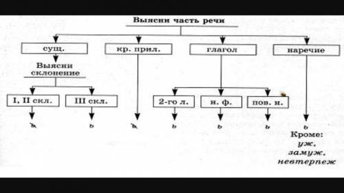 Правописание ь после шипящих в знаменательных частях речи