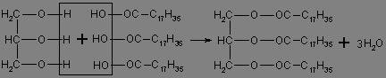Стеаринова и олеиновая кислота.напишите реакцию образования триглецерида с этими кислотами