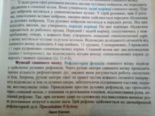 Зіставте риси будови та функції спинного мозку та хребта. іть пліз , коротко і ясно)