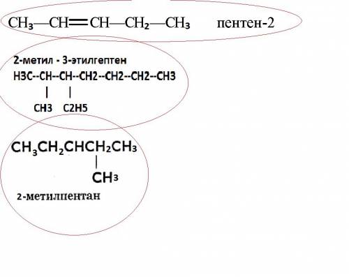 Напишите структурные формулы углеводородов. пентен-2; 2-метилпентан; 2-метил, 3- этилгептен