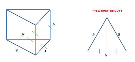 1. в правильной треугольной призме, все рёбра которой равны, медиана основания составляет 2 . найдит