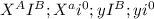 X^{A} I^{B} ; X^{a} i^{0} ;yI^{B};yi^{0}