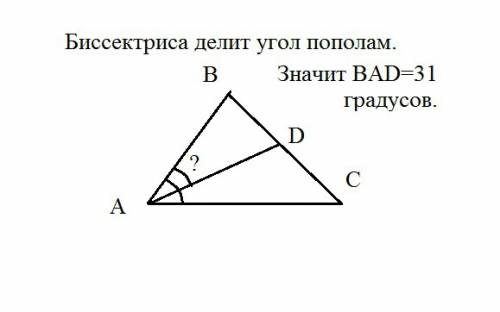 Втреугольнике abc известно , что угол bac=62 градуса , ad-биссектриса. найдите угол bad. ответ дайте