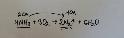 48. какой объём азота (н. у.) теоретически образуется при окислении 20 ламмиака?