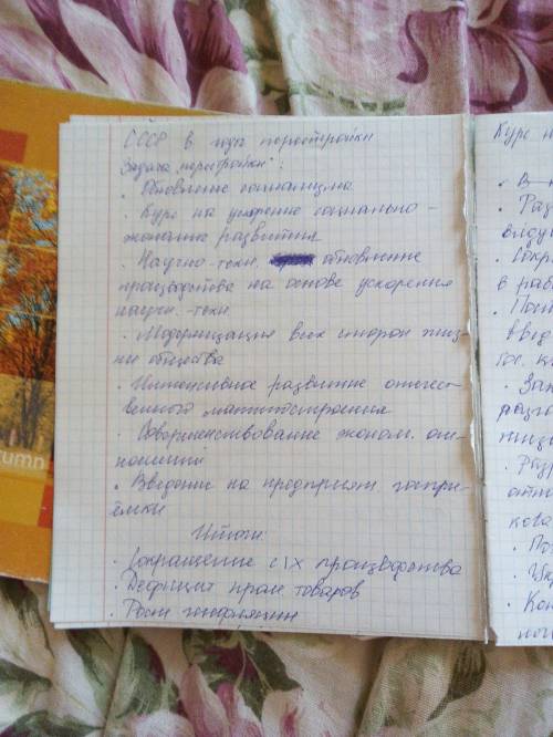 1985-1991 г.г перестройка в .. напишите кратко сразу говорю в интернете много..большие не кидайте