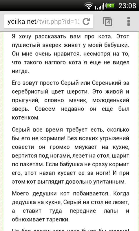Мне нужно написать сочинение про котика