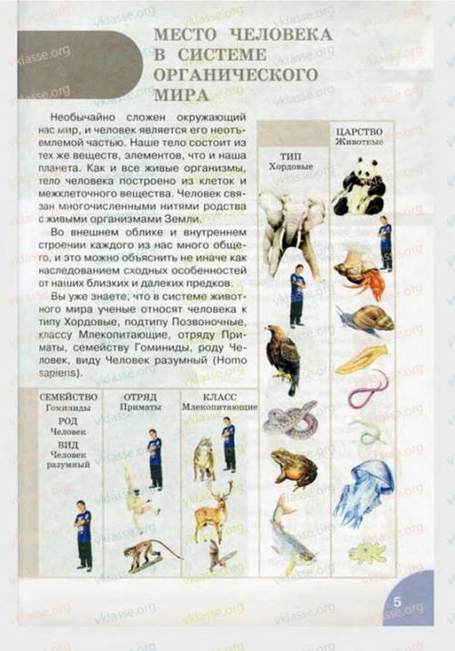 Зробіть висновок про місце людини в системі органічного світу