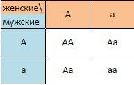 Если геотерозиготные кареглазые люди вступят в брак ,у них могут родиться дети только с карие глазам