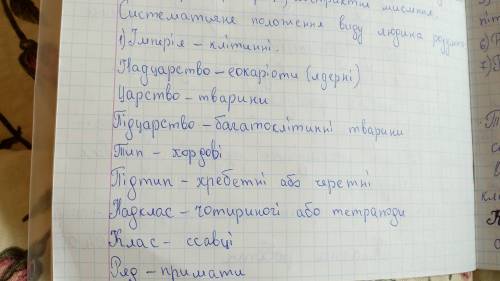 Прокласифікувати людину розумну тип клас ряд родина рід вид